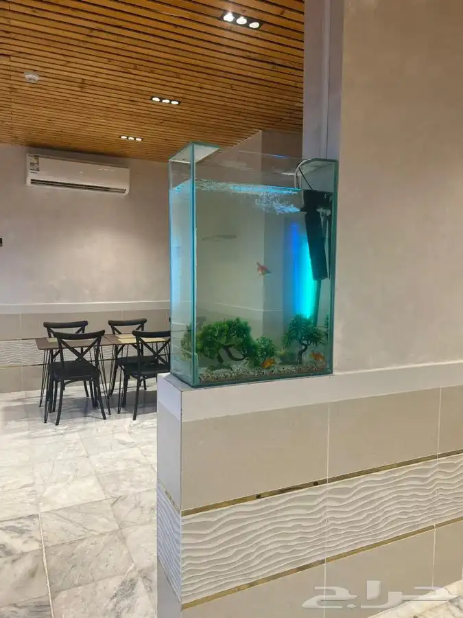 تفصيل احواض سمك المطاعم والكافيهات 2