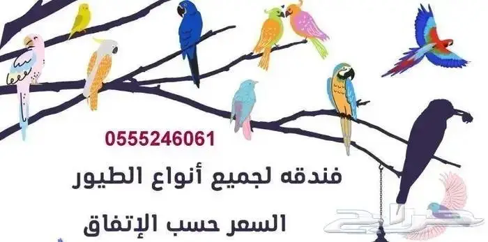 فندقة قطط وطيور - بأسعار مناسبه 1
