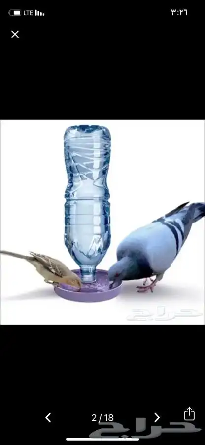 سقايه مشربيه طيور اكل حمام دجاج 0