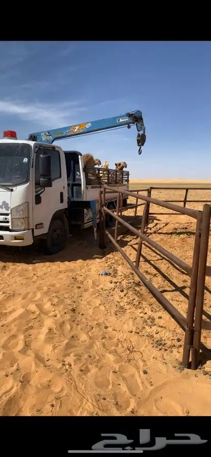 دنه هدروليك المدرج البطين الاسياح دنه ونش ابل 0