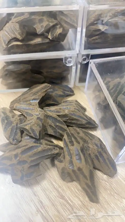 المدينة المنوره شارع الامير عبدالمجيد 0