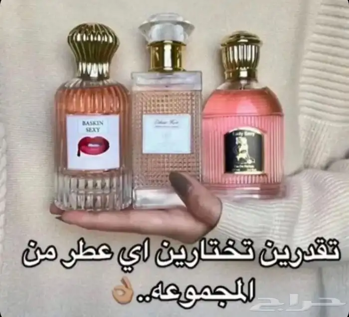 بخور عدني عرائسي درجه اولى ودوسري فاخر درجه اولى وشراشف وم 6