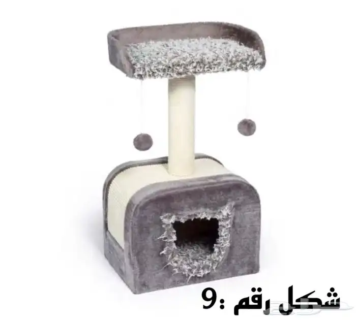 خداشات وبيت قطط 9