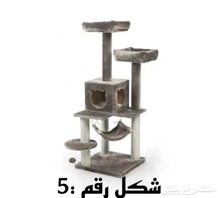 خداشات وبيت قطط 5