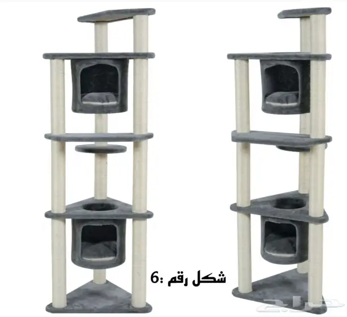 خداشات قطط للبيع 6