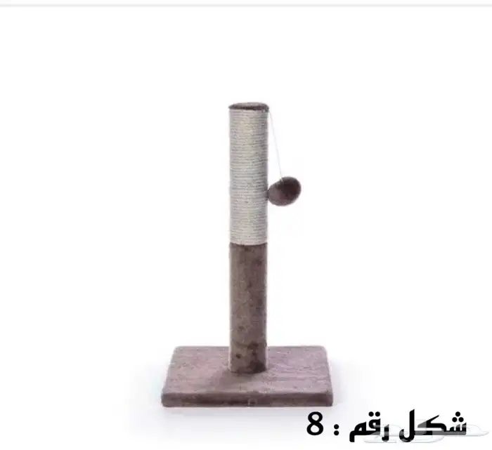 خداشات قطط للبيع 8