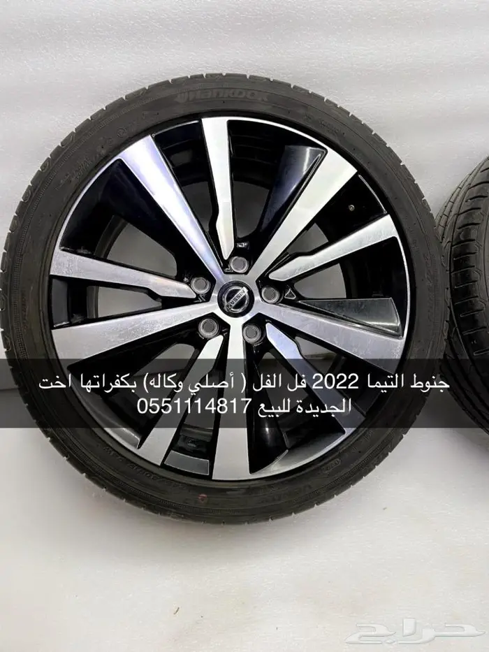جنوط التيما 2022 فل الفل اصلي وكاله 0