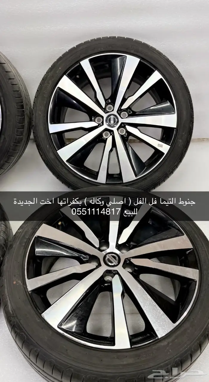 جنوط التيما 2022 فل الفل اصلي وكاله 2