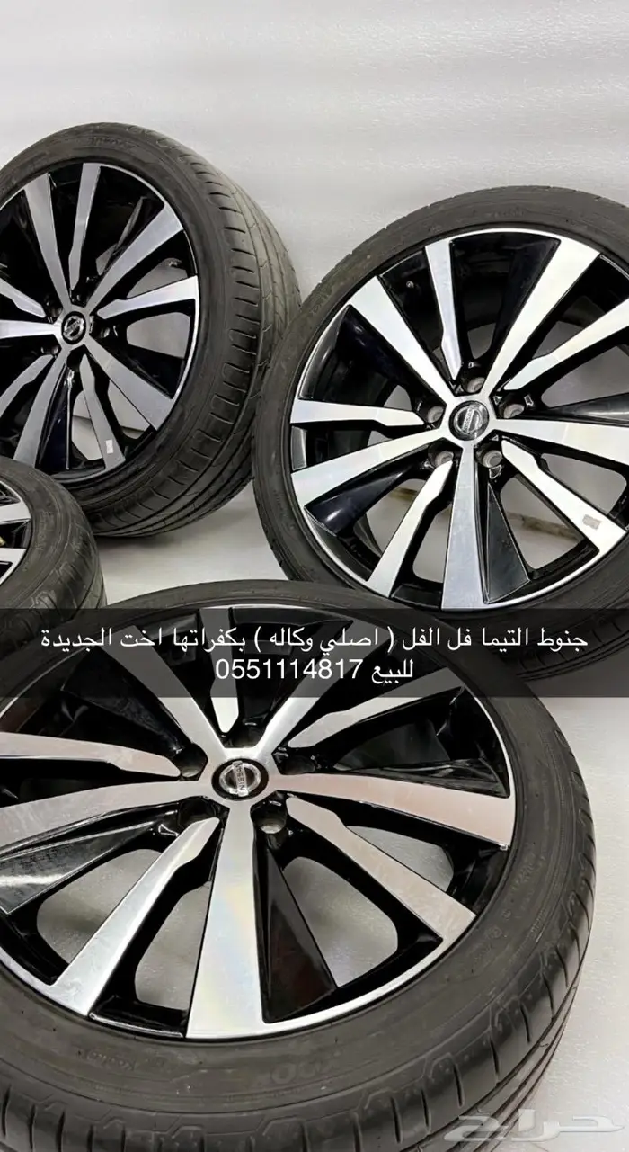 جنوط التيما 2022 فل الفل اصلي وكاله 3