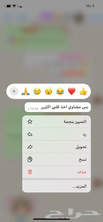 مرشات ( معطرات للمنزل والسيارة) 3