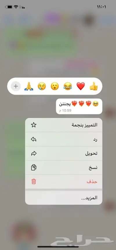 مرشات ( معطرات للمنزل والسيارة) 4