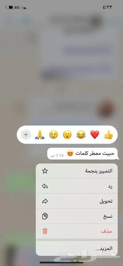 مرشات ( معطرات للمنزل والسيارة) 7