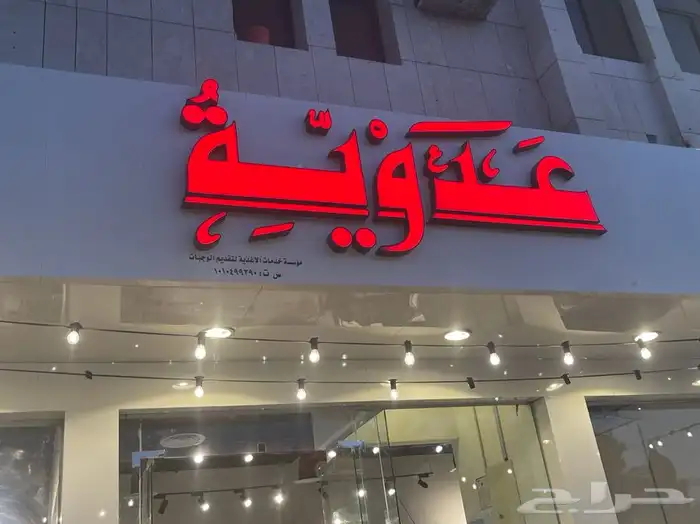 خطاط 2030 29