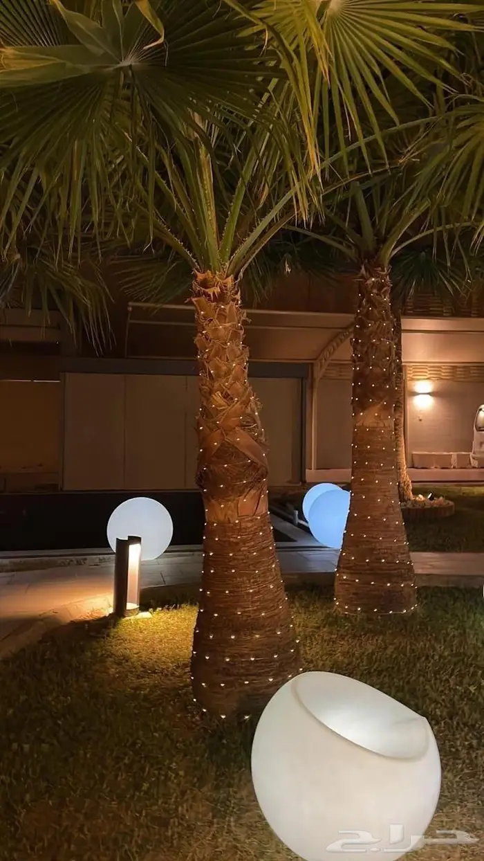 انارة led للتزين مناسبة للعيد 7