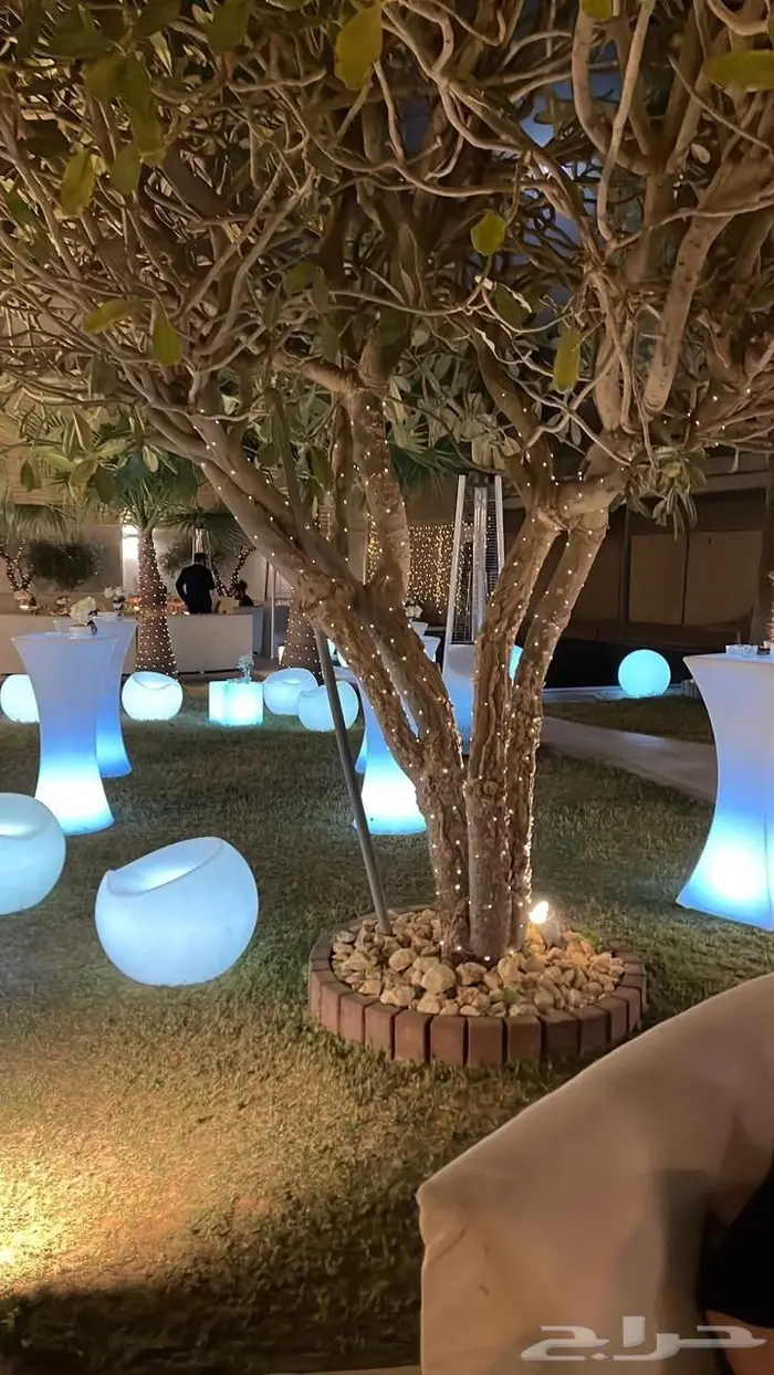 انارة led للتزين مناسبة للعيد 9