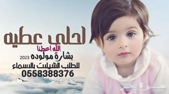 تنفيذ شيلات زفات لحن القوافي اللحن المثير شيلات ام العريس 34