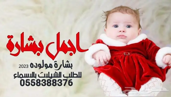 تنفيذ شيلات زفات لحن القوافي اللحن المثير شيلات ام العريس 36
