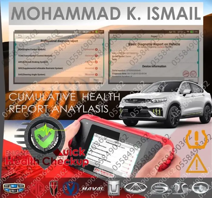 Chinese Vehicles Computer Inspection Diagnostics 1