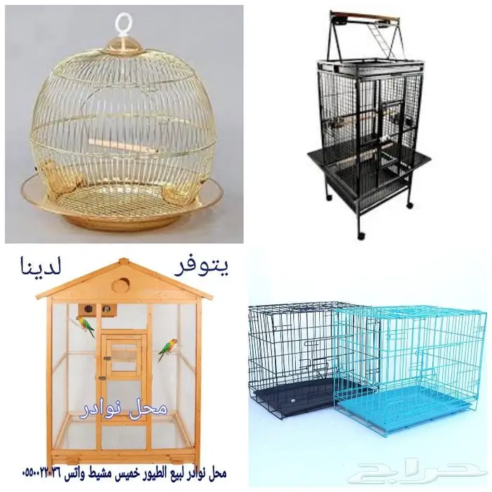 باتيه فصفص اسود صغير حب كناري ساده 30