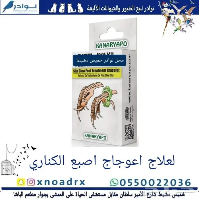 باتيه فصفص اسود صغير حب كناري ساده 64