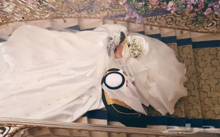 مصورة عرايس 6