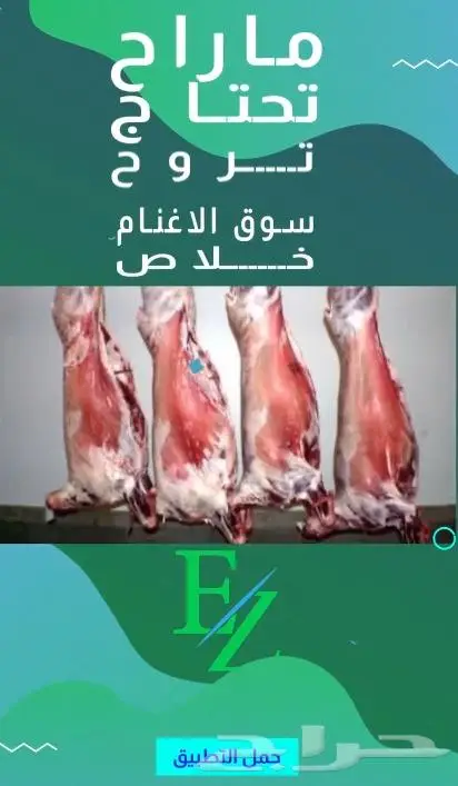 تصميم فيديو موشن جرافيك احترافي 13