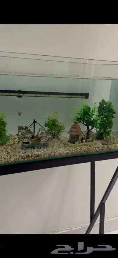 تفصيل وتنسيق حوض سمك ديكور صناعي 2