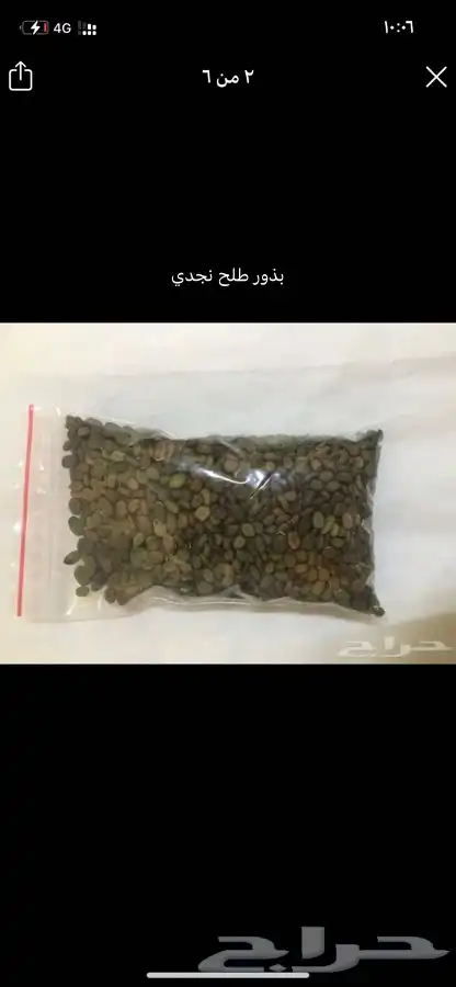 بذور اشجار ونبتات 38