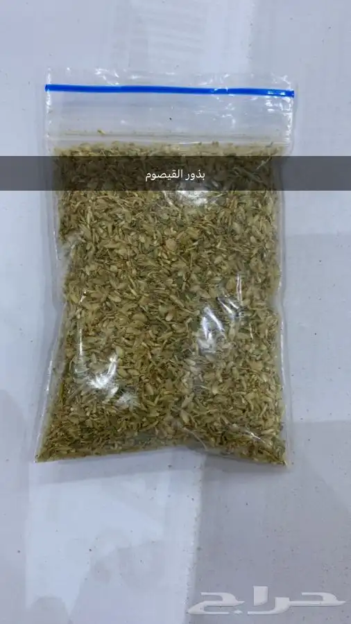 بذور اشجار ونبتات 25