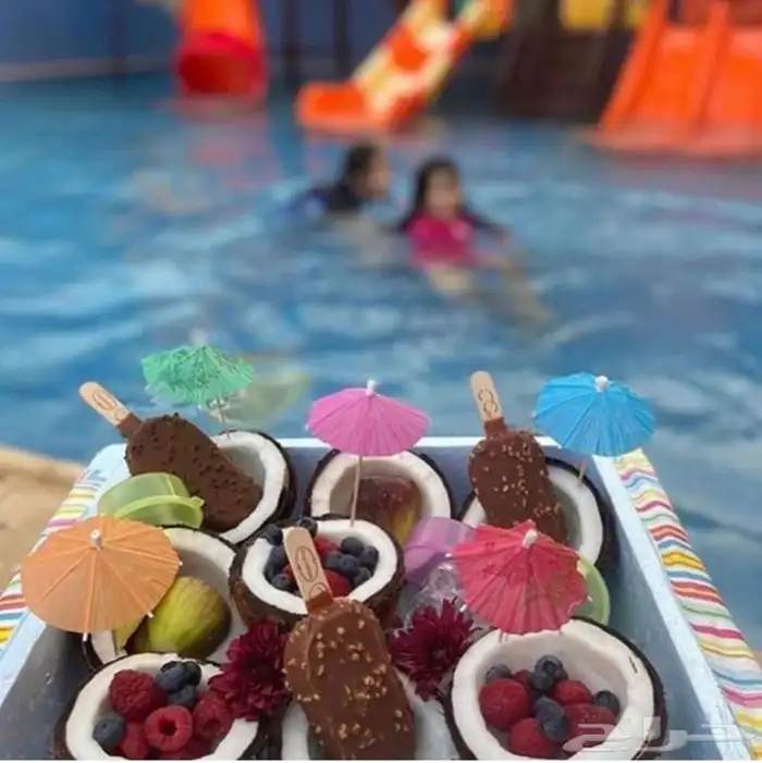 بوكسات الصيف 12