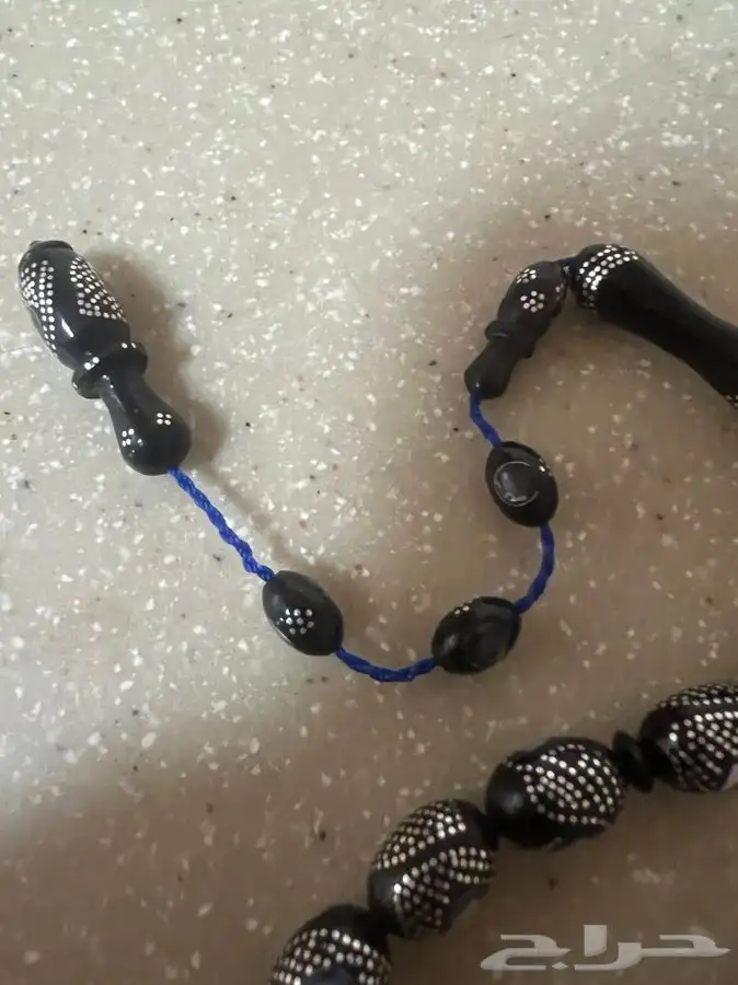 مسباح ظهر سلحفاة 2