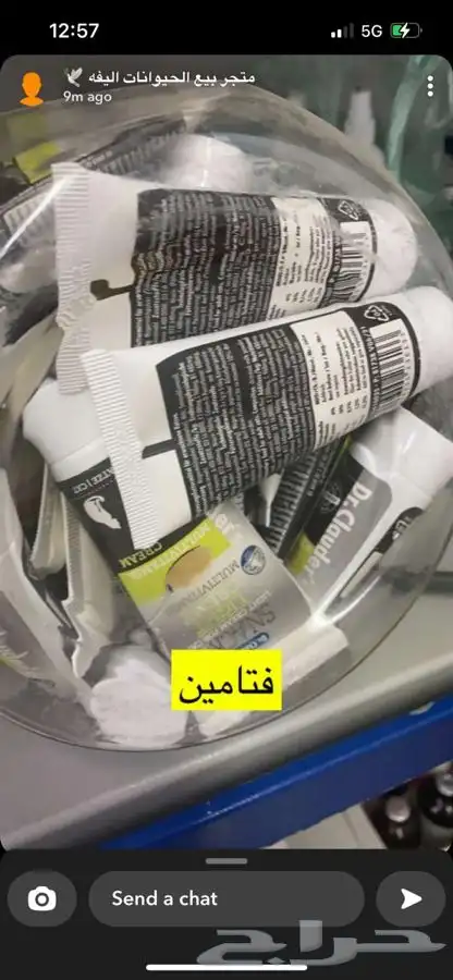 قطط طيور سلااحف اسماك هامستر تزاوج فتدقه ترويش تطعيم قطط 2