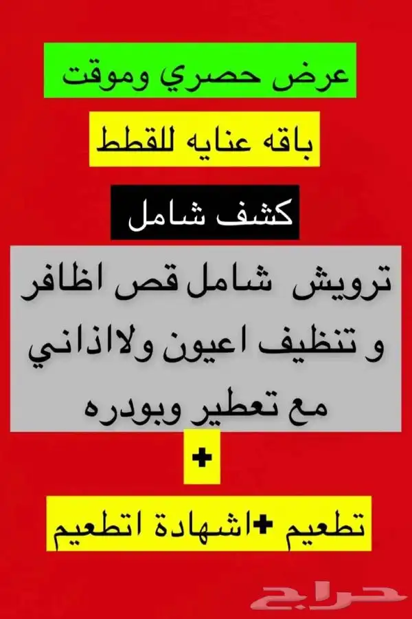 قطط طيور سلااحف اسماك هامستر تزاوج فتدقه ترويش تطعيم قطط 3