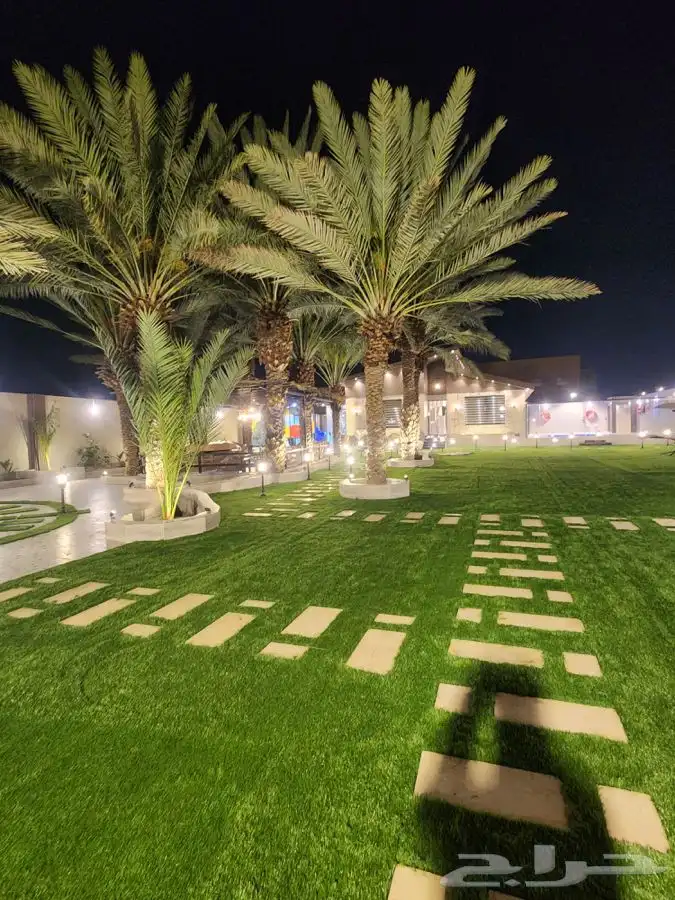 شاليه و منتجع(النخيل) للايجار اليومي 10