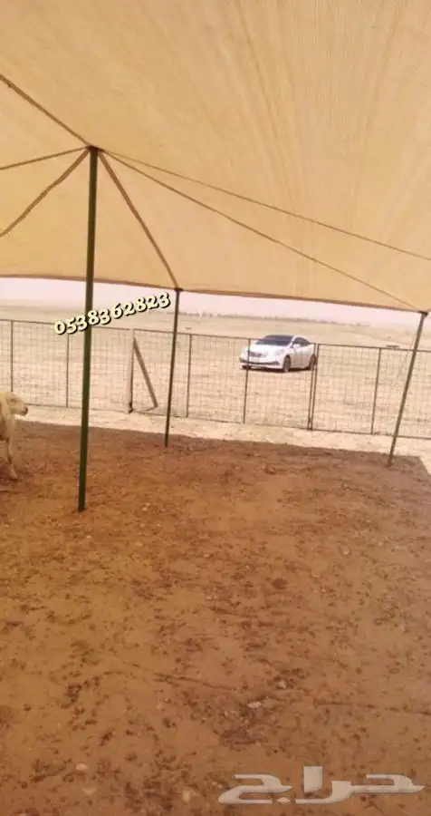 لبيع مضلات الغنم والابل جميع المقاسات بافضل الاسعار 20