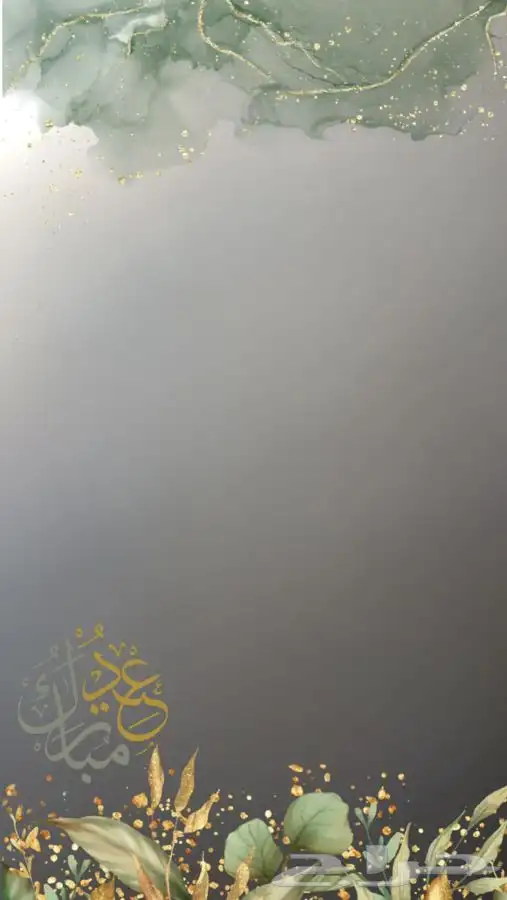 فلاتر فلتر سناب للتخرج 0