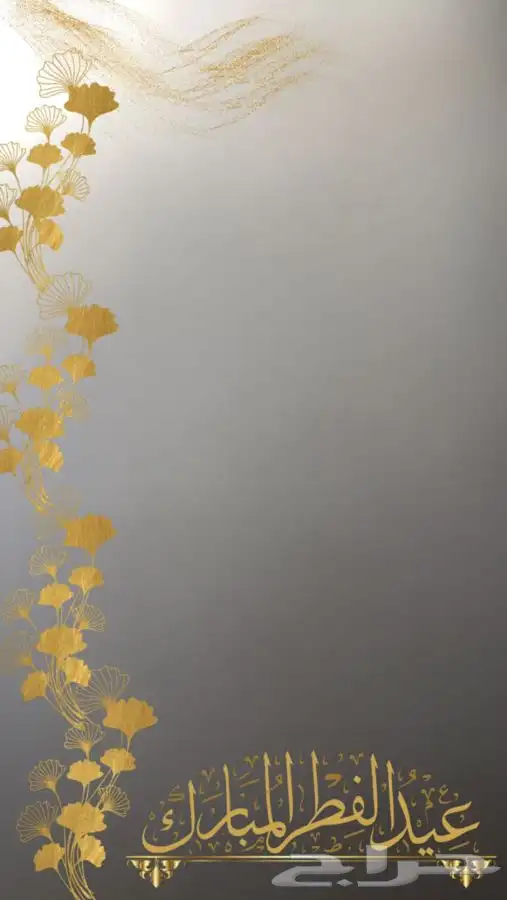 فلاتر فلتر سناب للتخرج 4