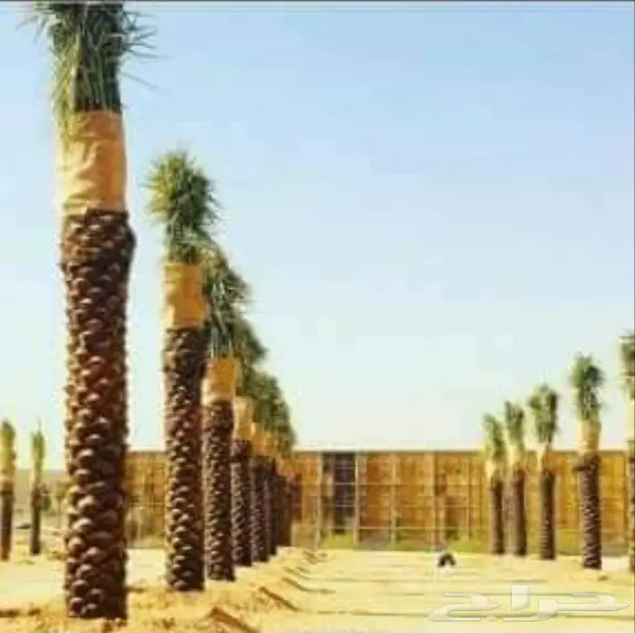 مؤسسة نفذ للمقاولات العامه 7