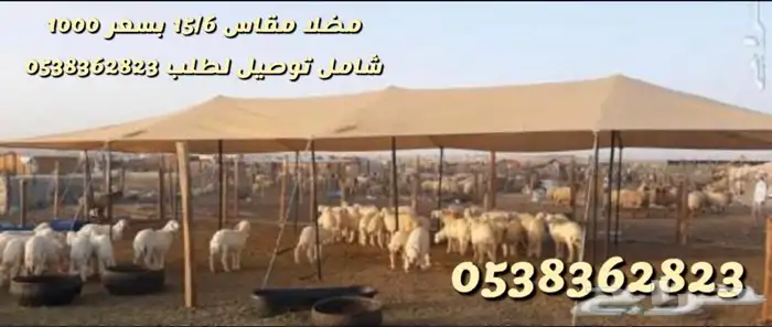 لبيع مضلات الغنم والابل جميع المقاسات بافضل الاسعار 28