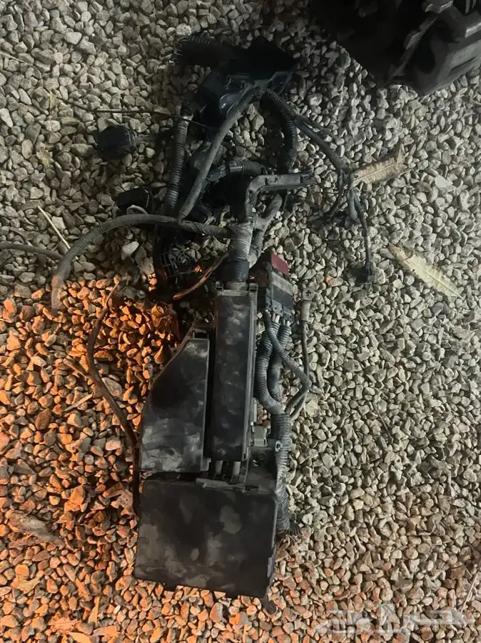 تشليح مكسيما 11