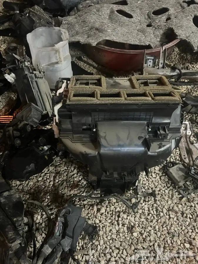 تشليح مكسيما 31