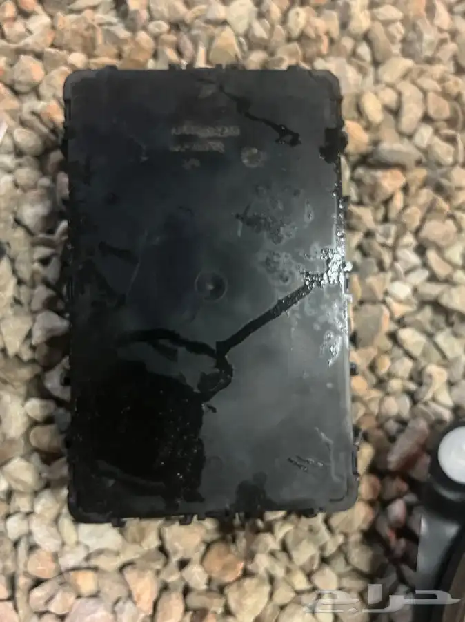 تشليح مكسيما 19