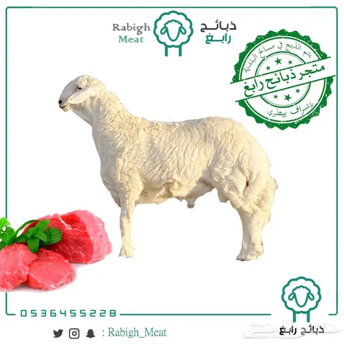 ذبائح رابغ لبيع المواشي طليان تيوس حاشي 0