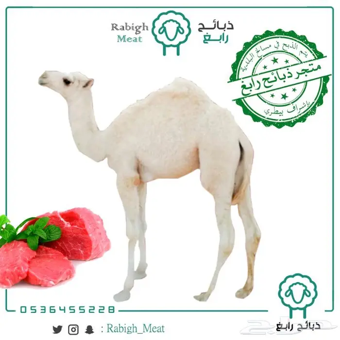 ذبائح رابغ لبيع المواشي طليان تيوس حاشي 2