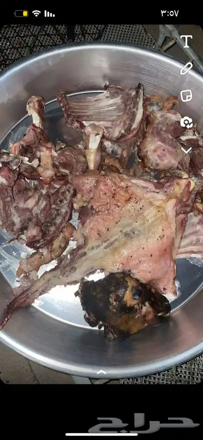 طليان وتيوس مع الطبخ والتوصيل حنيذ بالمرخ او سليق 3