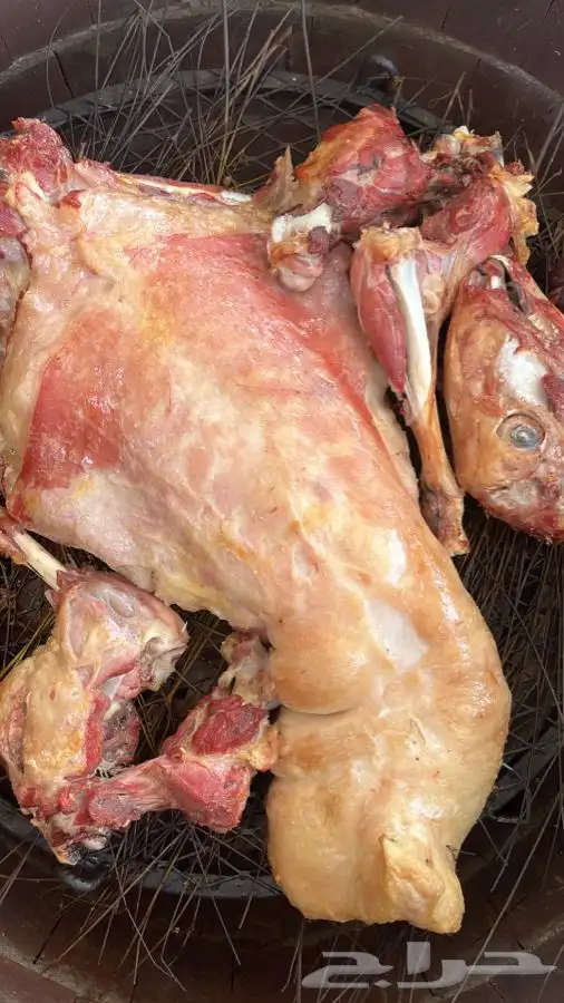 طليان وتيوس مع الطبخ والتوصيل حنيذ بالمرخ او سليق 0