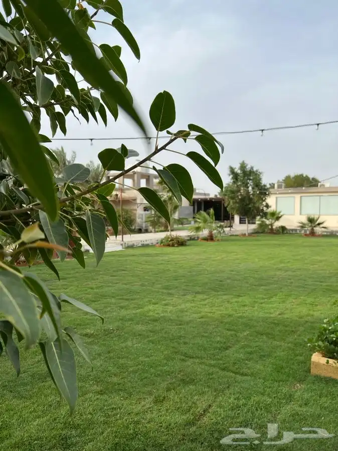 استراحة ومنتجع لافينا للإيجار اليومي 35