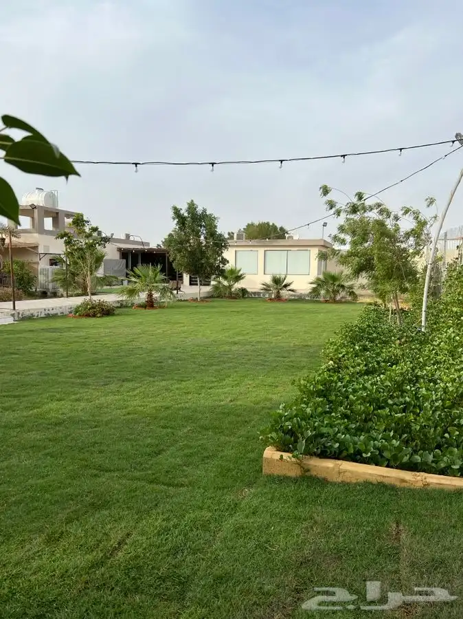 استراحة ومنتجع لافينا للإيجار اليومي 36