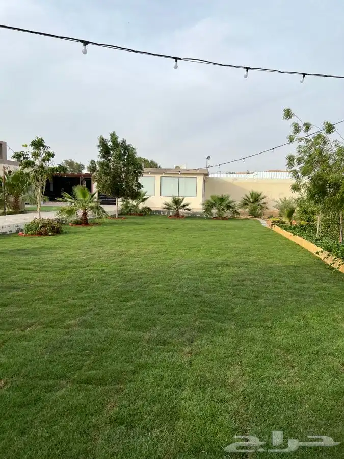 استراحة ومنتجع لافينا للإيجار اليومي 37