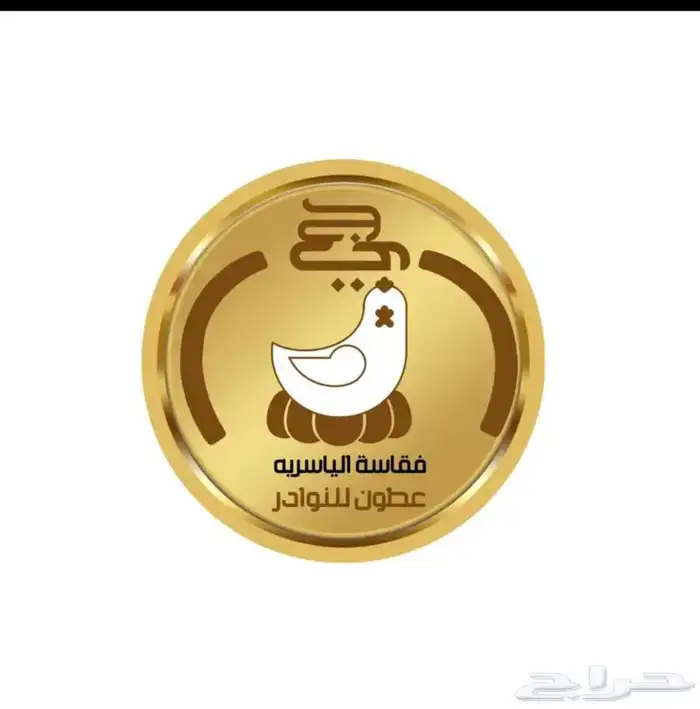 فقاسات الياسريه 9
